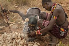 In un villaggio Pokot il fuoco si accende ancora in maniera tradizionale, sfregando due legnetti su un\'esca.  Sulla schiana di uno dei Pokot è fissato un vecchio cellulare.